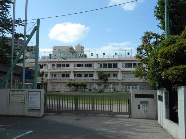 小学校　目黒区立下目黒小学校（小学校）まで501m