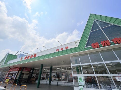 スーパー　新鮮市場 臼杵店（スーパー）まで1011m