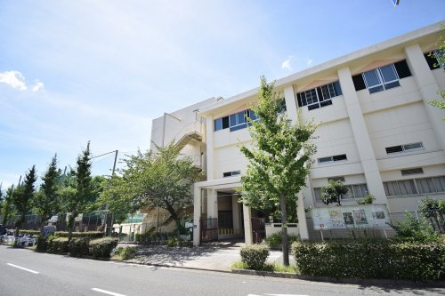 中学校　御影中学校（中学校）まで665m