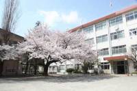 小学校　国立市立第三小学校（小学校）まで265m