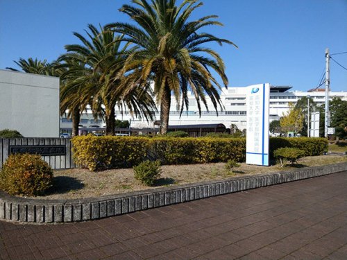 大学・短大　国立高知大学岡豊キャンパス（大学・短大）まで4958m