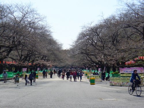 公園　東京都立上野恩賜公園（公園）まで727m