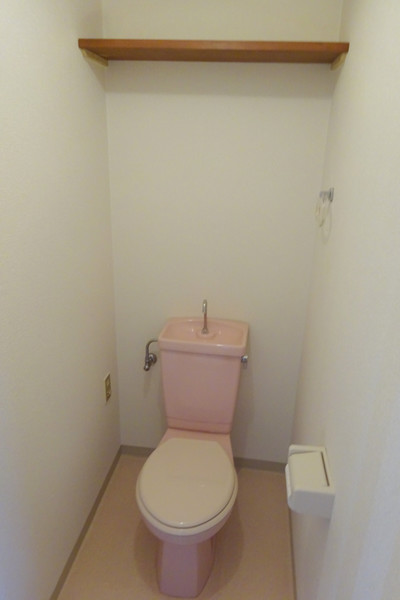 阪急宝塚線 曽根駅 徒歩21分 4階建 築43年のトイレ写真