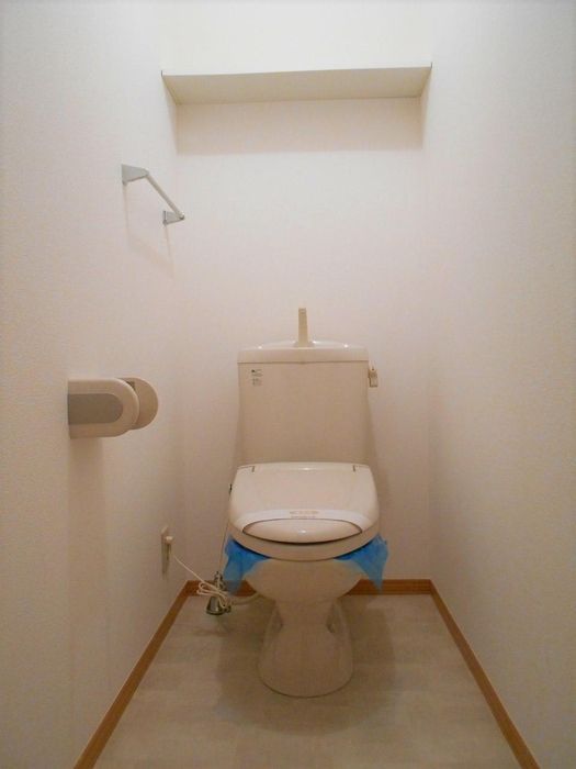 メゾンナポのトイレ写真