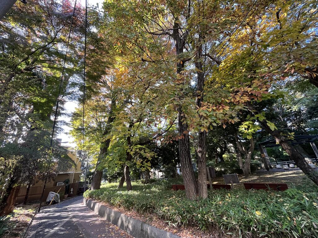 D‘sVARIE高田馬場レジデンス 手無 敷礼無 ネット即のその他写真