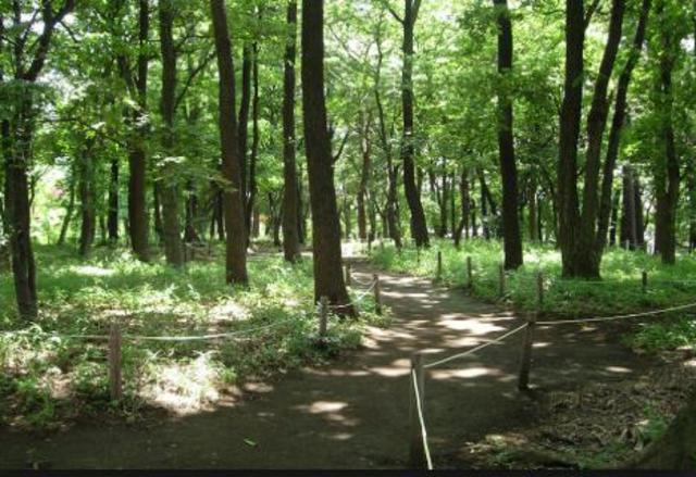 【相模原市南区上鶴間本町のアパートの公園】