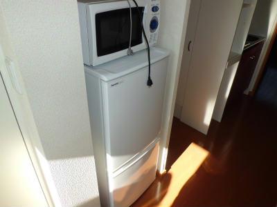 その他　冷蔵庫と電子レンジ。