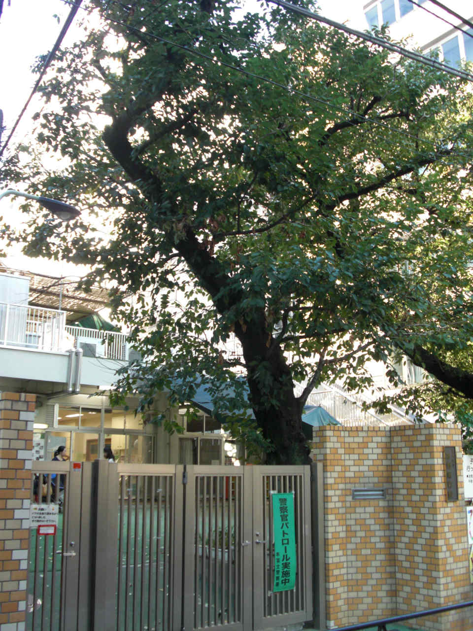 幼稚園・保育園　区立本郷保育園（幼稚園・保育園）まで207m
