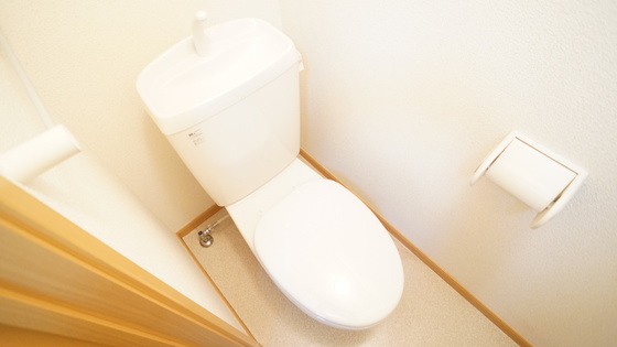 トイレ　トイレ