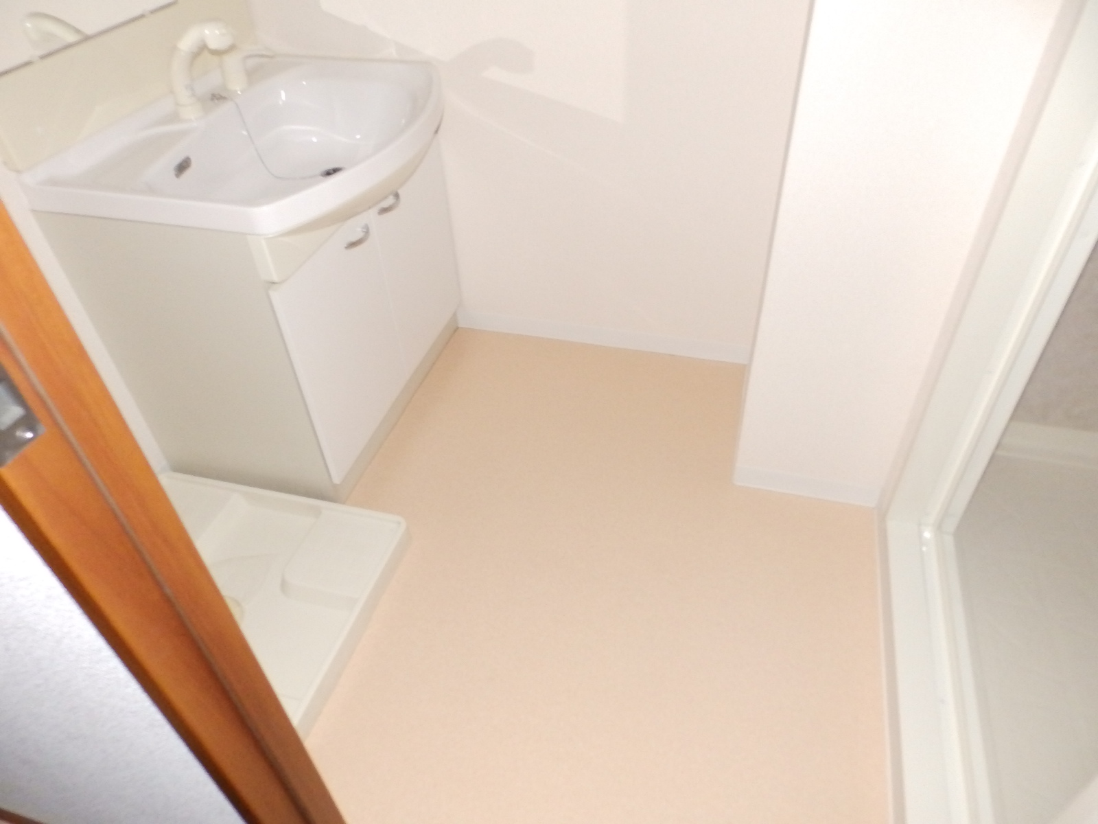 その他　脱衣室　室内洗濯機置き場