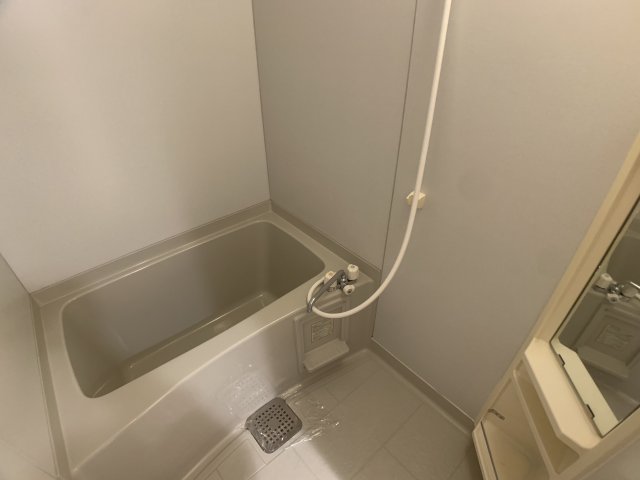 バス・シャワールーム　浴室の鏡が大きく便利です。