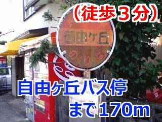 その他　自由ヶ丘バス停（その他）まで170m