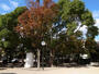 公園　打出浜公園（公園）まで311m