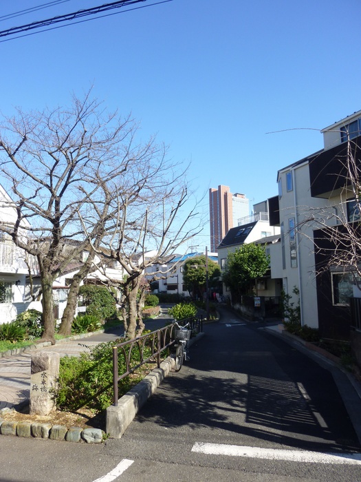 公園　緑道（公園）まで1m