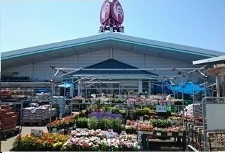 その他　コメリハード＆グリーン神栖店（その他）まで1700m