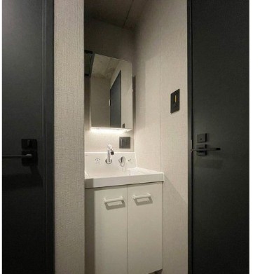 洗面設備　写真は同タイプ住居です。