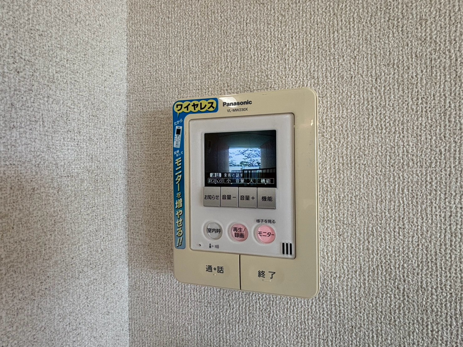 セントポーリアIIのその他写真
