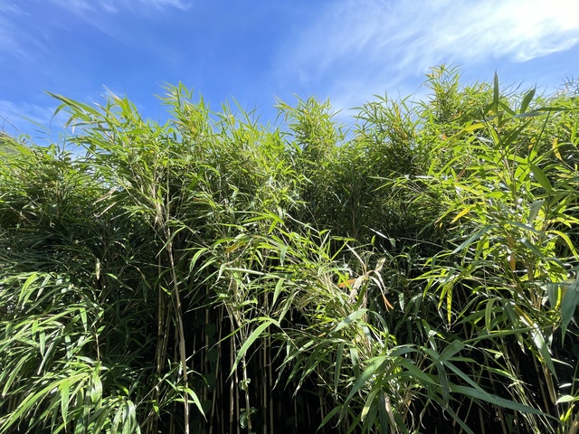 眺望　別部屋参考写真／１０３号室を利用中※現況優先