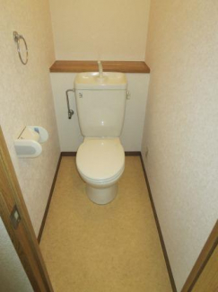 アイネ・シェーネブルグのトイレ写真