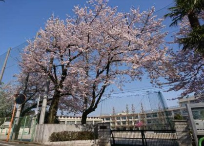 中学校　練馬区立豊渓中学校（中学校）まで540m