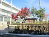 中学校　板橋区立赤塚第二中学校（中学校）まで577m