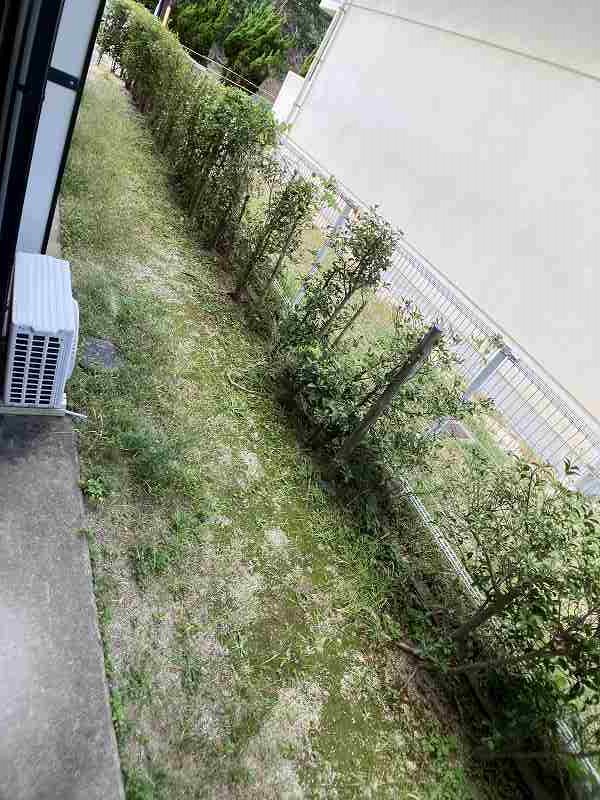 バルコニー　別室参考画像です