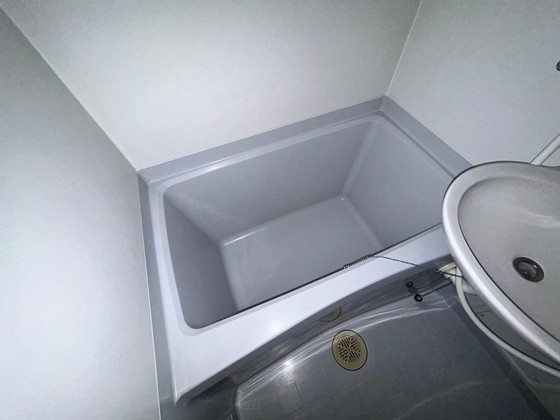 バス・シャワールーム　※別号室のお写真です。