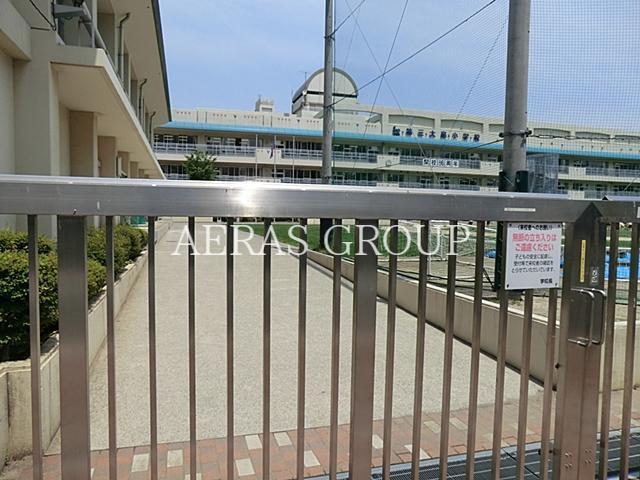 小学校　江東区立第三大島小学校（小学校）まで608m