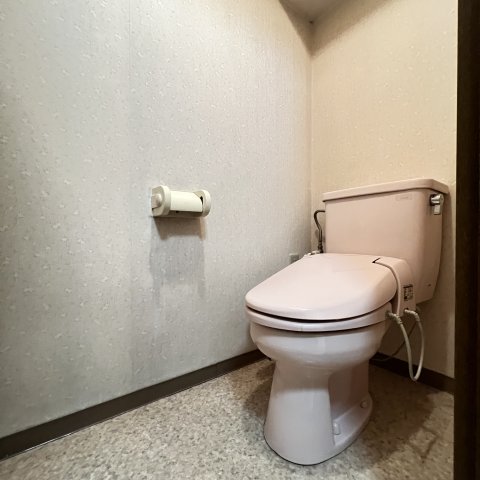 トイレ　同仕様タイプです