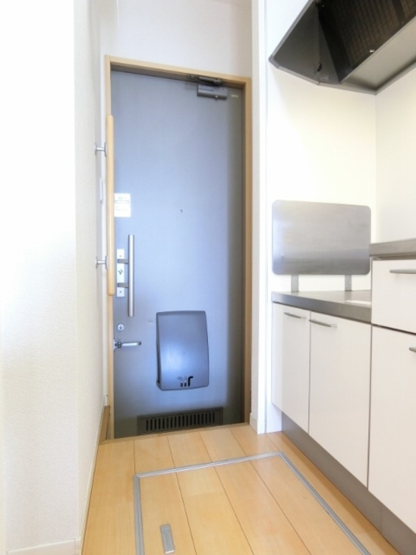 玄関　図面と現状に相違がある場合には現状を優先