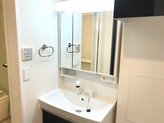 洗面設備　※他号室の写真です。