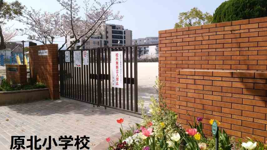 小学校　福岡市立小学校原北小学校（小学校）まで563m