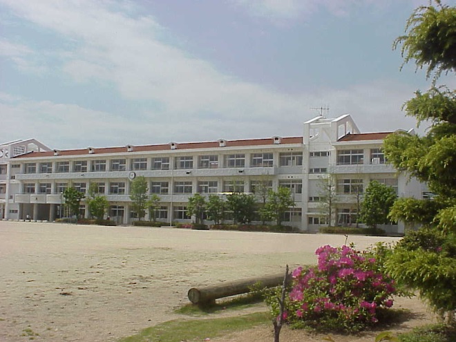 小学校　倉敷市立倉敷南小学校（小学校）まで517m