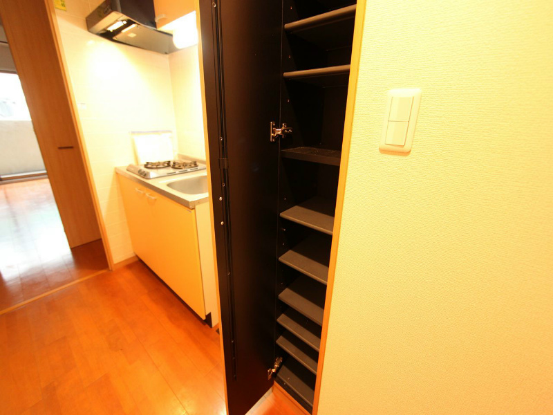 玄関　玄関　シューズボックス