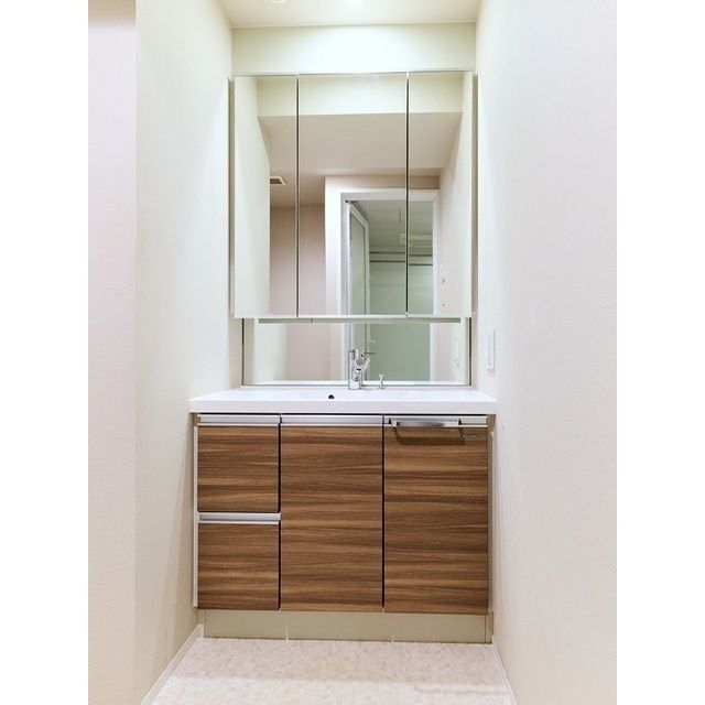 洗面設備　（別タイプ参考写真）ベルジェンド文京千駄木グレイス　文京区千