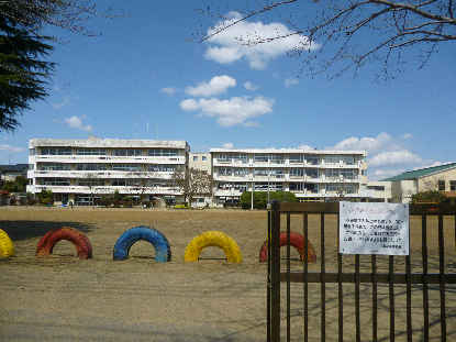 小学校　富里市立日吉台小学校（小学校）まで211m