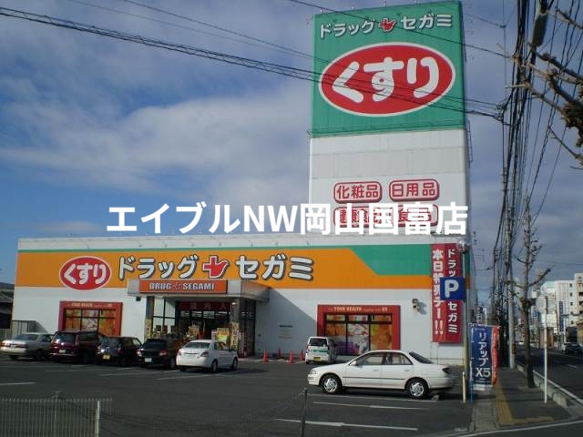 ドラックストア　ドラッグセガミ原尾島店（ドラッグストア）まで166m