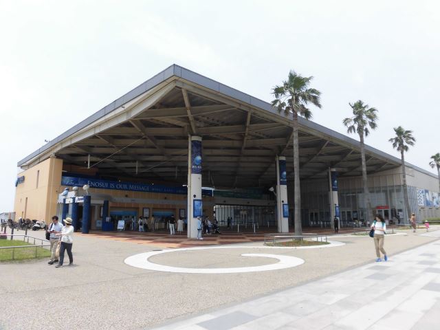 その他　新江ノ島水族館（その他）まで810m