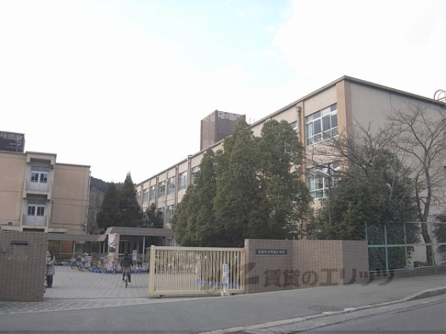 中学校　洛北中学校（中学校）まで550m