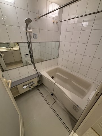 バス・シャワールーム　反転間取り別部屋の写真です