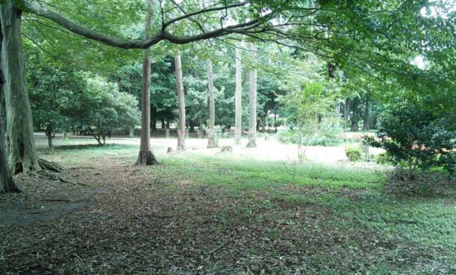 公園　八千代台北子供の森（公園）まで1585m