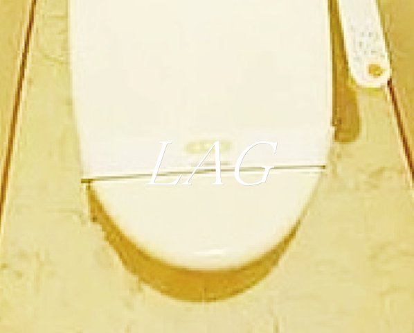 トイレ　トイレです。（同仕様です。）