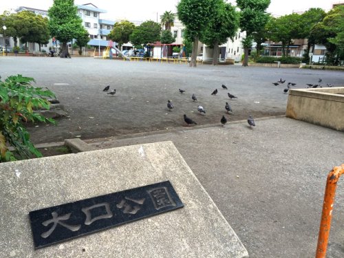 公園　大口公園（公園）まで60m