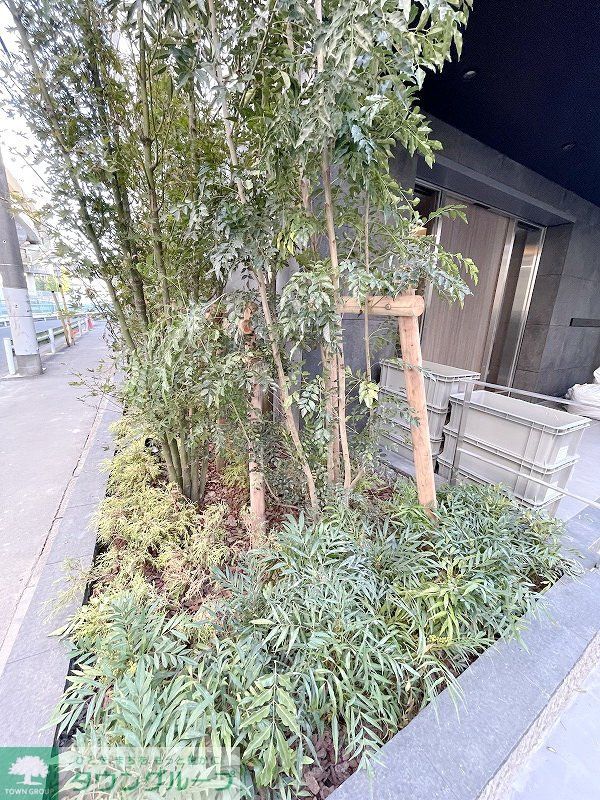 庭　庭