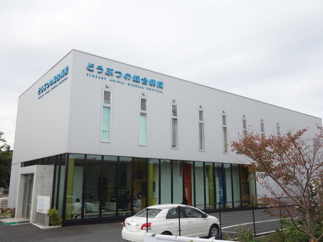 病院　どうぶつの総合病院（病院）まで717m