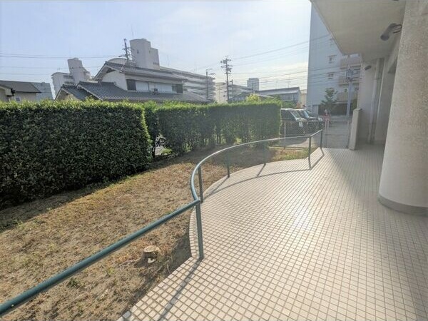 庭