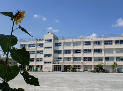 中学校　世田谷区立太子堂中学校（中学校）まで203m