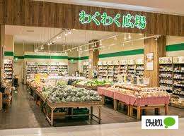 スーパー　わくわく広場京都ファミリー店（スーパー）まで509m