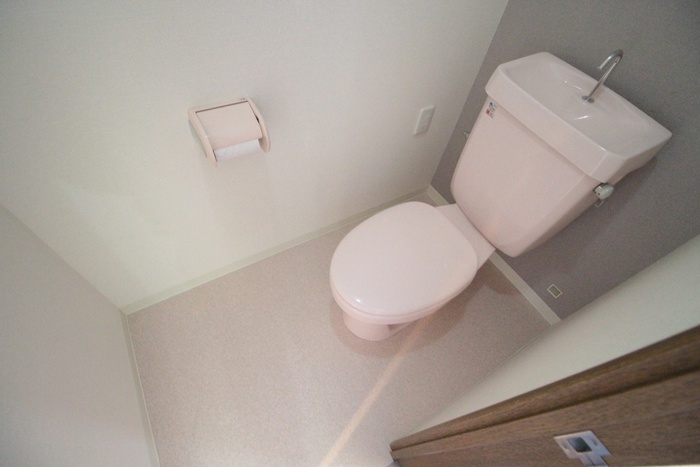 生島リバーサイドマンションD棟のトイレ写真