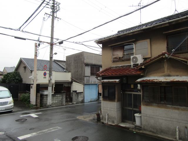 F asecia copperのその他写真